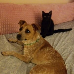 Meet your Posher, Cheyenna